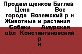 Продам щенков Биглей › Цена ­ 15 000 - Все города, Вяземский р-н Животные и растения » Собаки   . Амурская обл.,Константиновский р-н